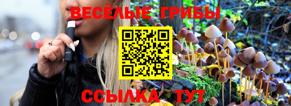 Галлюциногенные грибы прущие грибы Красноуфимск