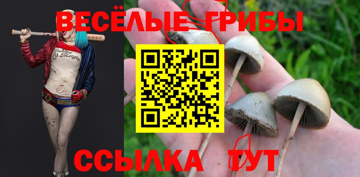 Галлюциногенные грибы мухоморы  Вход с VPN  Красноуфимск 